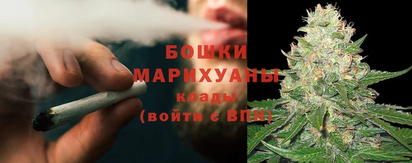 ГАЛЛЮЦИНОГЕННЫЕ ГРИБЫ Медвежьегорск