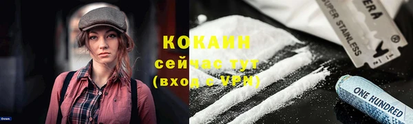 ECSTASY Магас