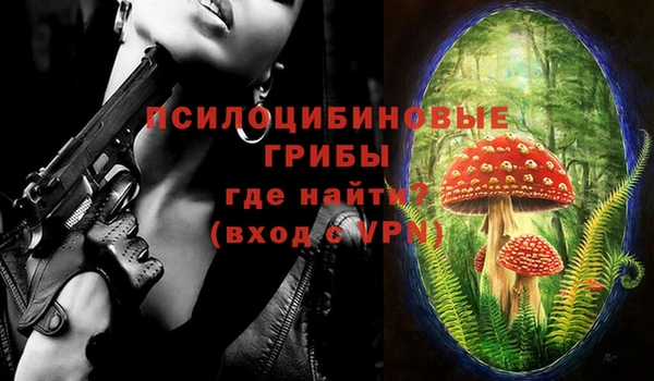 герыч Медногорск