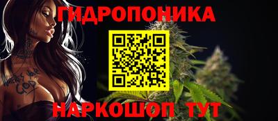 сатива Заводоуковск