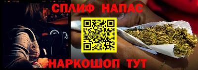 сатива Заводоуковск