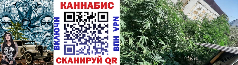 Бошки Шишки VHQ  Нефтекумск 